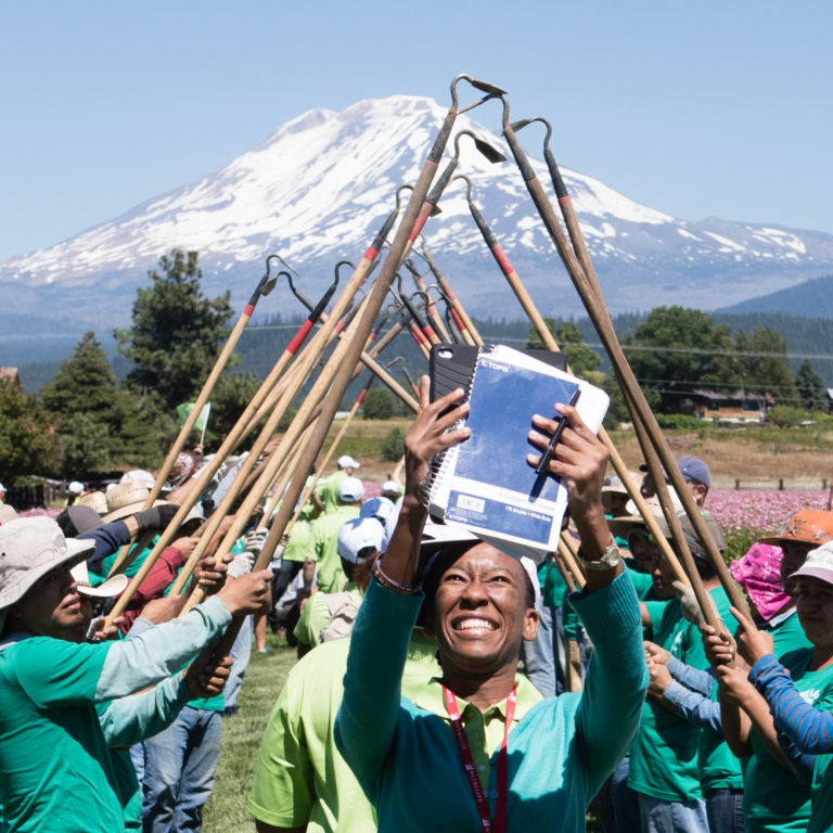 A guest happily takes a selfie before entering a welcome arch of gardening hoes held high by the staff. What a great way to start the visitor experience at Amway North America Farm Day. Trout Lake Farm, Wash., July 2017. Photo: Darwin Hintz