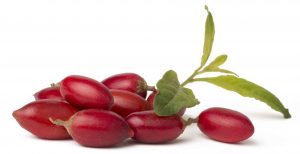 Fresh goji berries. Native to Asia, goji berries are rich in nutrients and have been used by people living in Asia for more than 2,000 years as a medicinal herb.