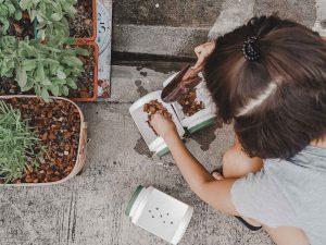 Little girl grows seeds from a repurposed container of Nutrilite protein powder.