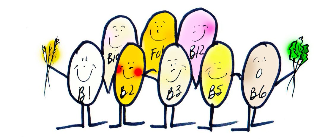 The B vitamin family. This ultimate dream team of eight vitamins work together to help the body function. No one is more important than another.