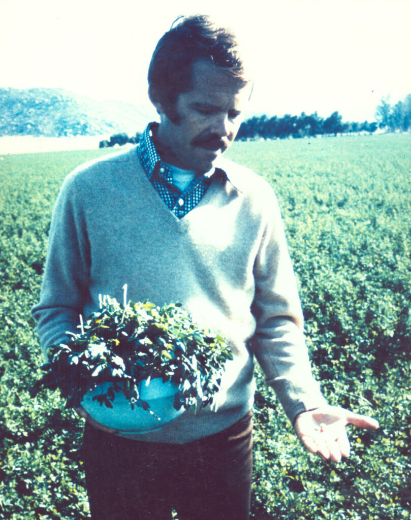 Dr. Sam in an alfalfa field in the 1980s